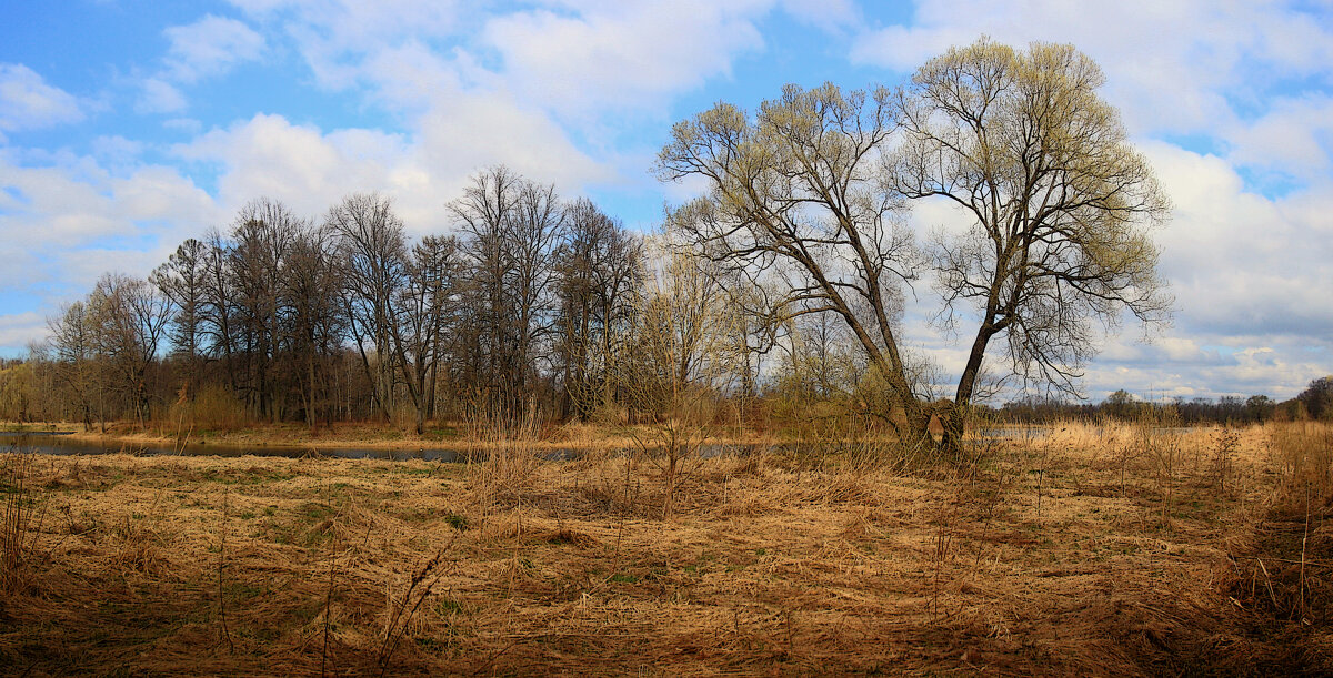 *** - Сергей Григорьев