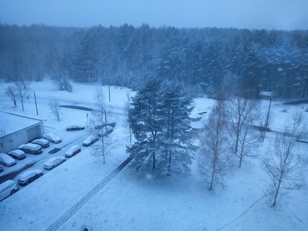 утром пришел снег - Владимир 