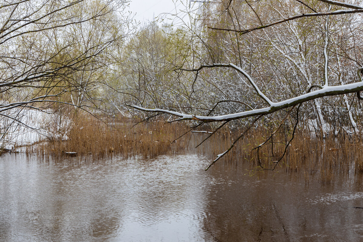 Природа в апреле - Александр Синдерёв