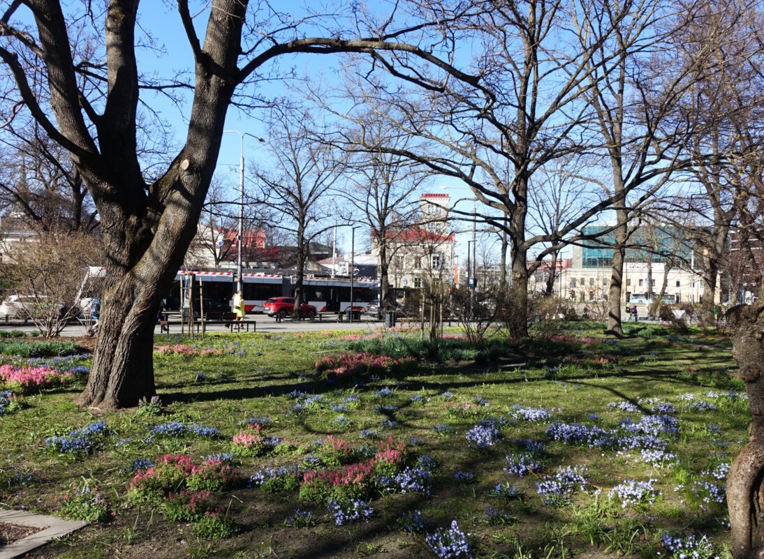 Весна в городе - Aida10 