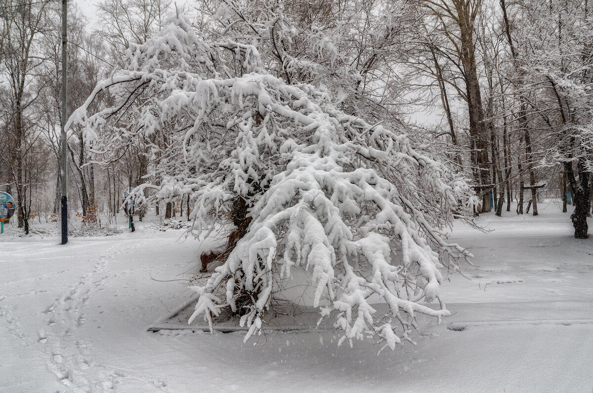 Апрельские шутки - Виктор Иванович Чернюк