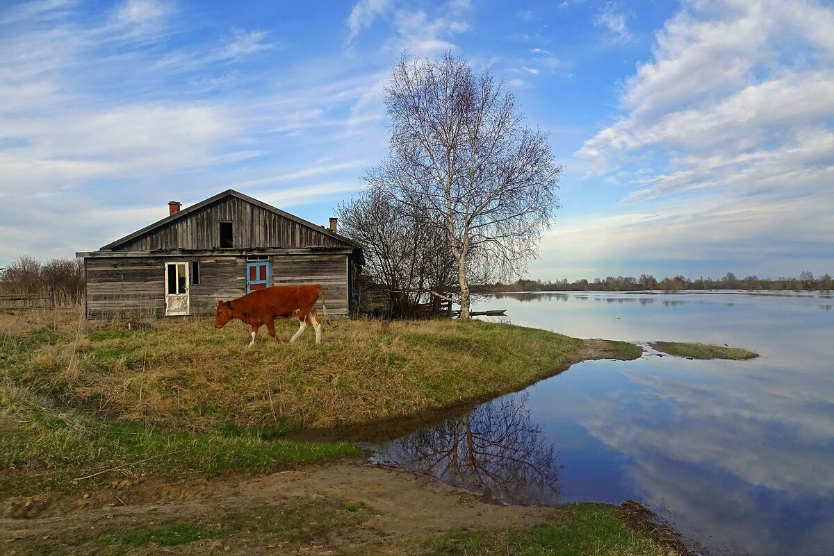 Деревенская весна - Valentina K