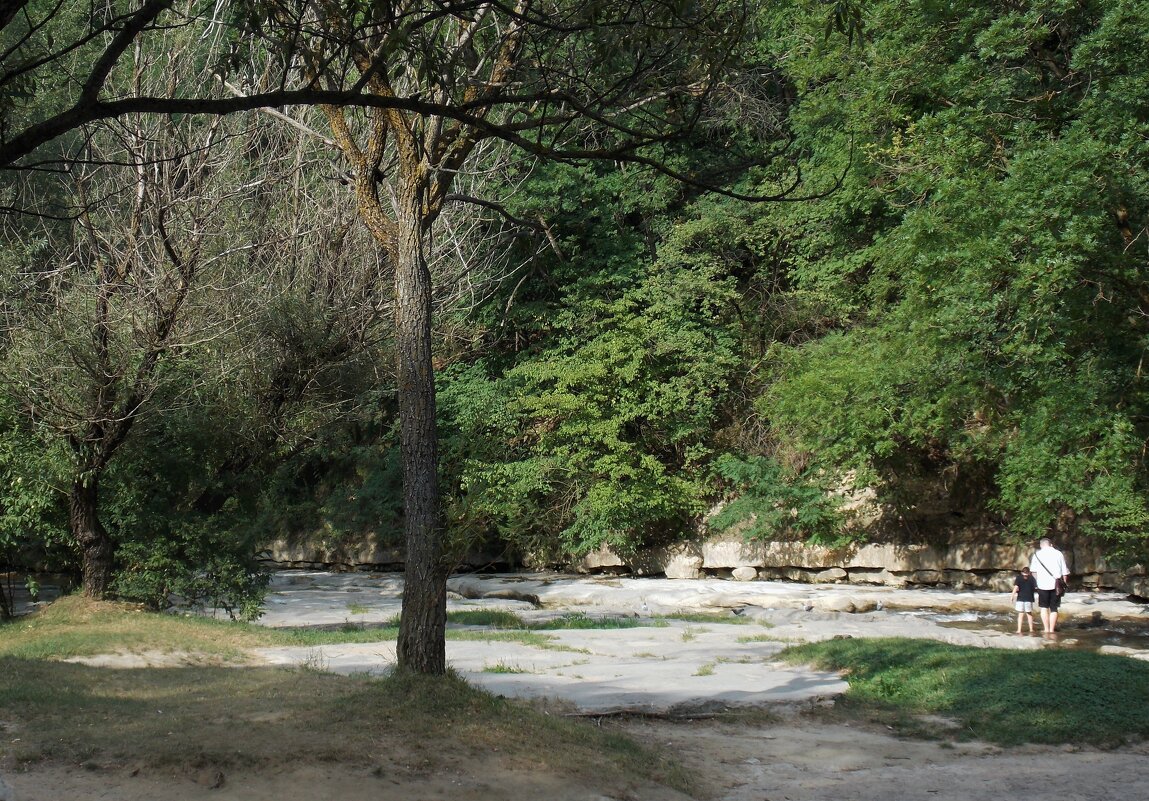 Гости - Vitrevi 