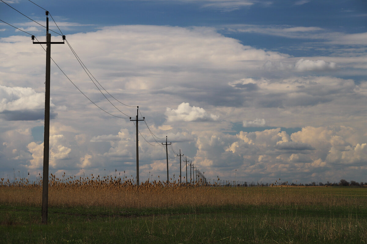 Астраханская природа - Татьяна Салиева