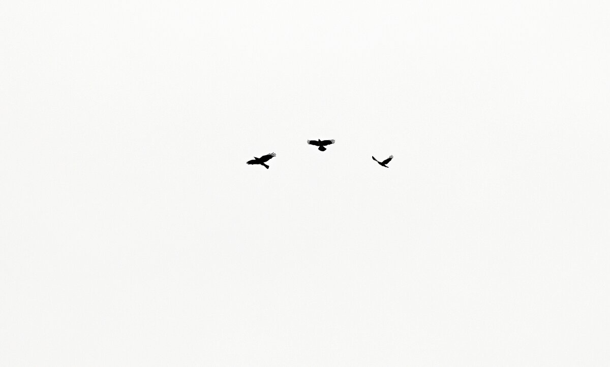 На троих - Валерий Иванович