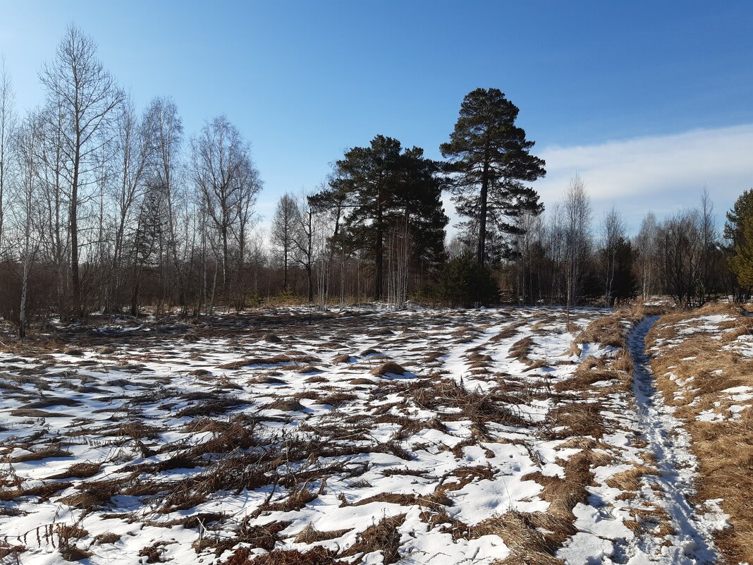 И ещё раз снова выпал снег... - Галина Минчук