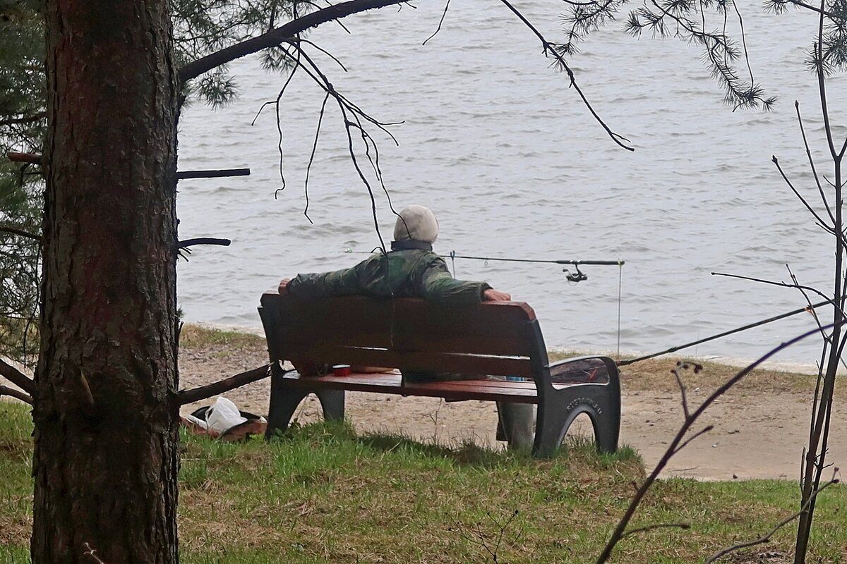 Прекрасный день - Дмитрий И_