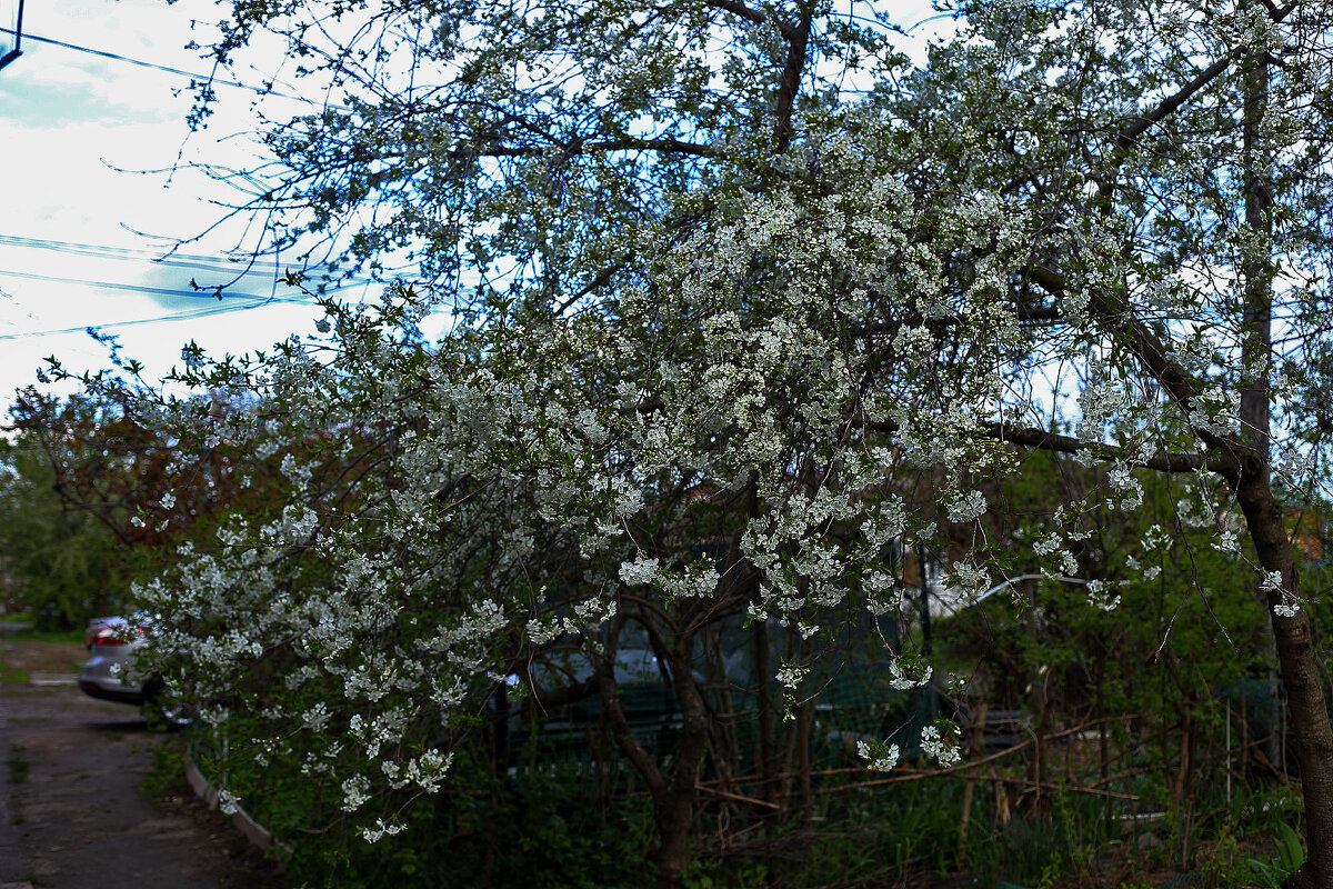 На фоне неба - Юрий Гайворонскiий