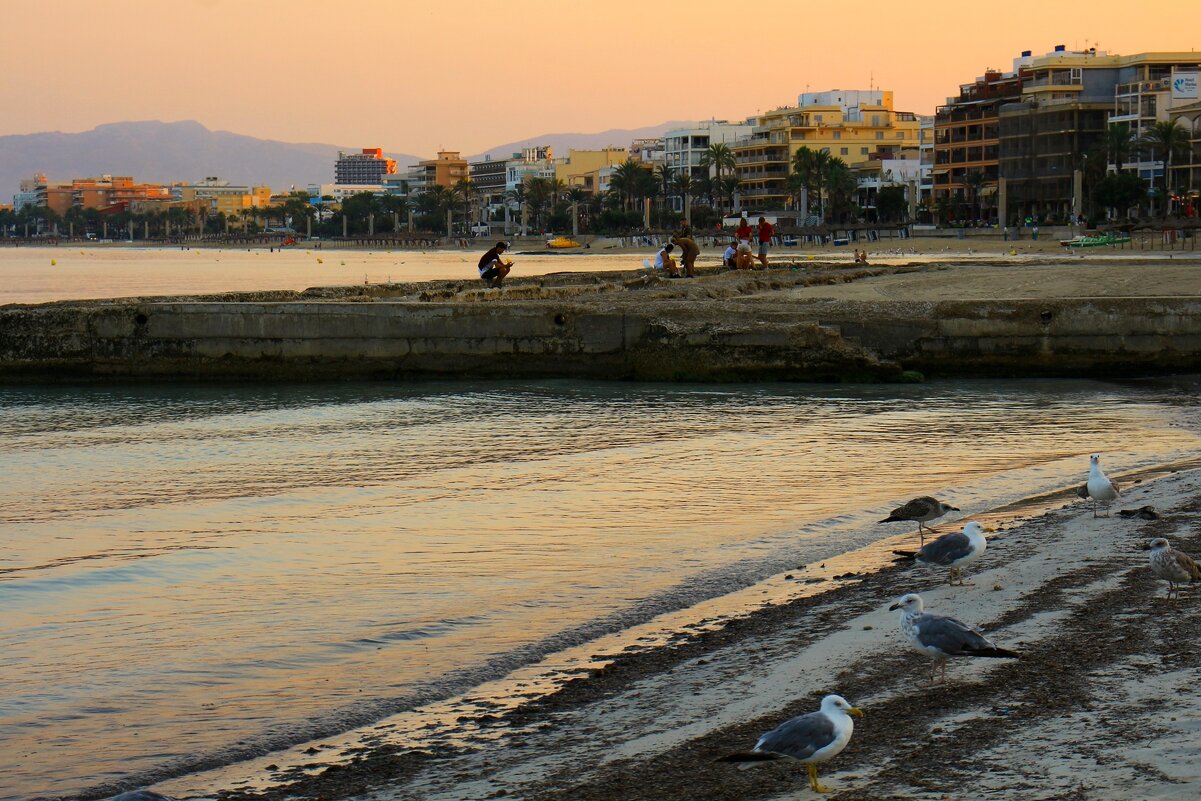Утро на побережье - Юрий. Шмаков