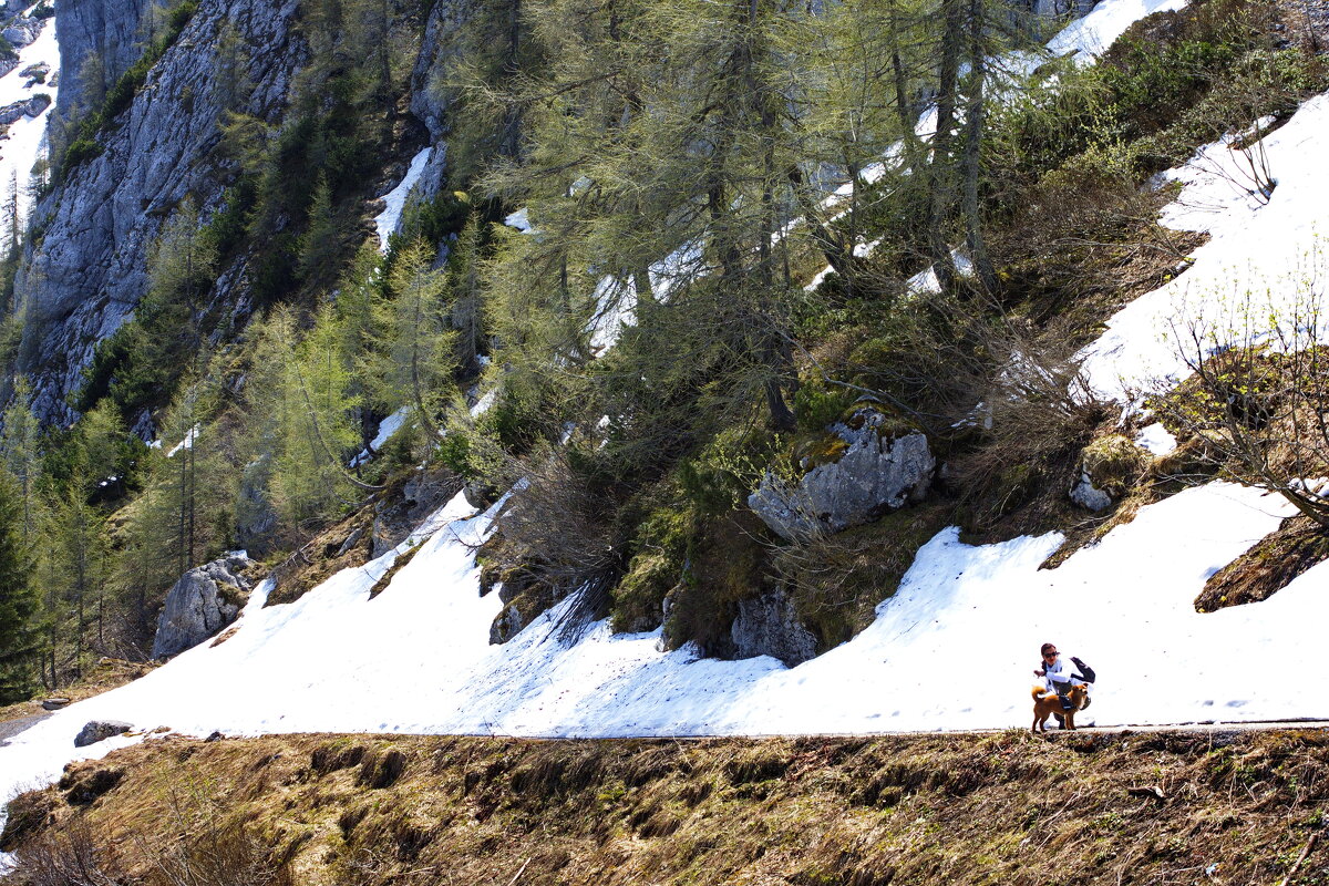 Девушка с собачкой - Ирэн 