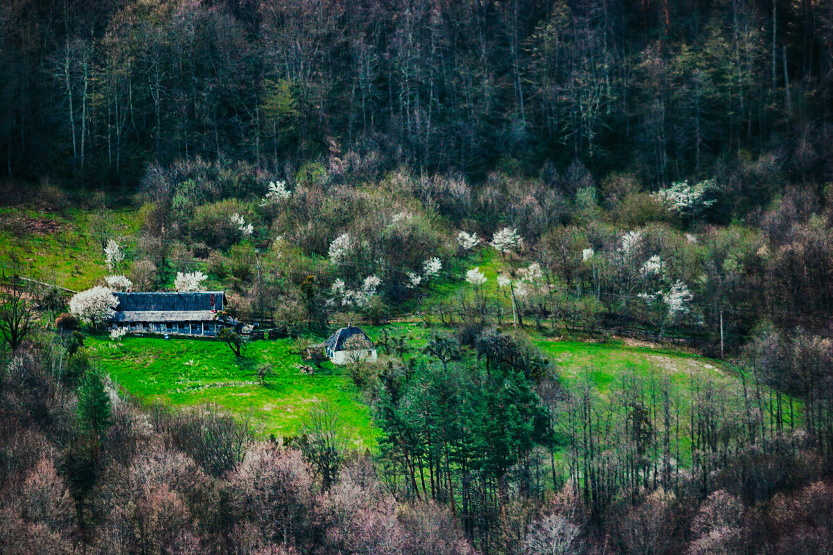 The surroundings of the village of Mezmai. - Игорь Хижняк