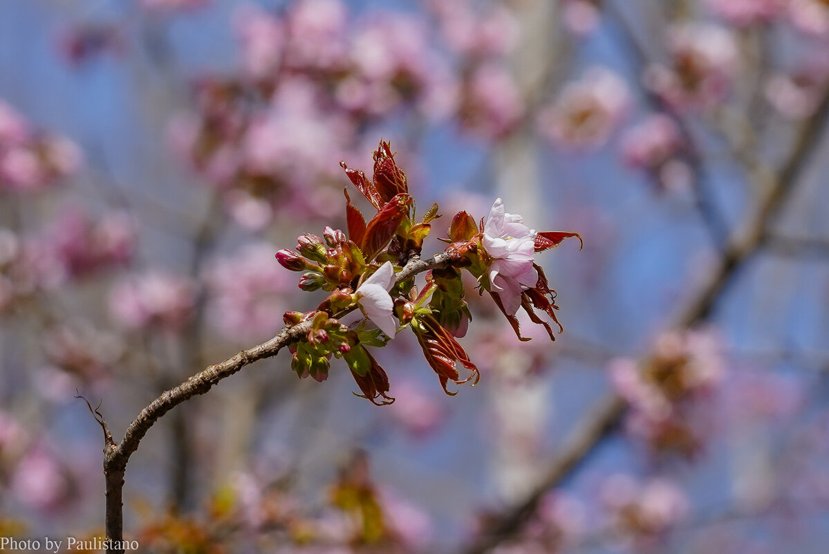 Пробуждение... - Владимир Жданов