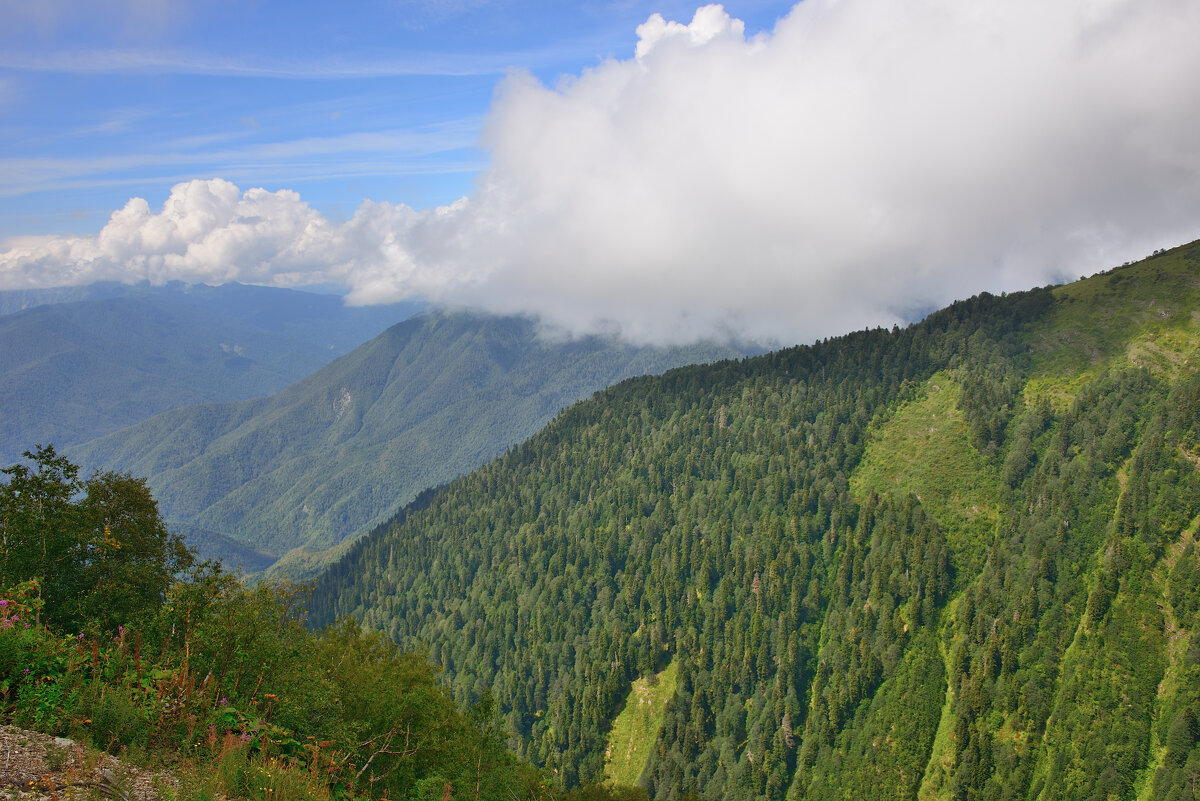 ** - Александр Хаецкий