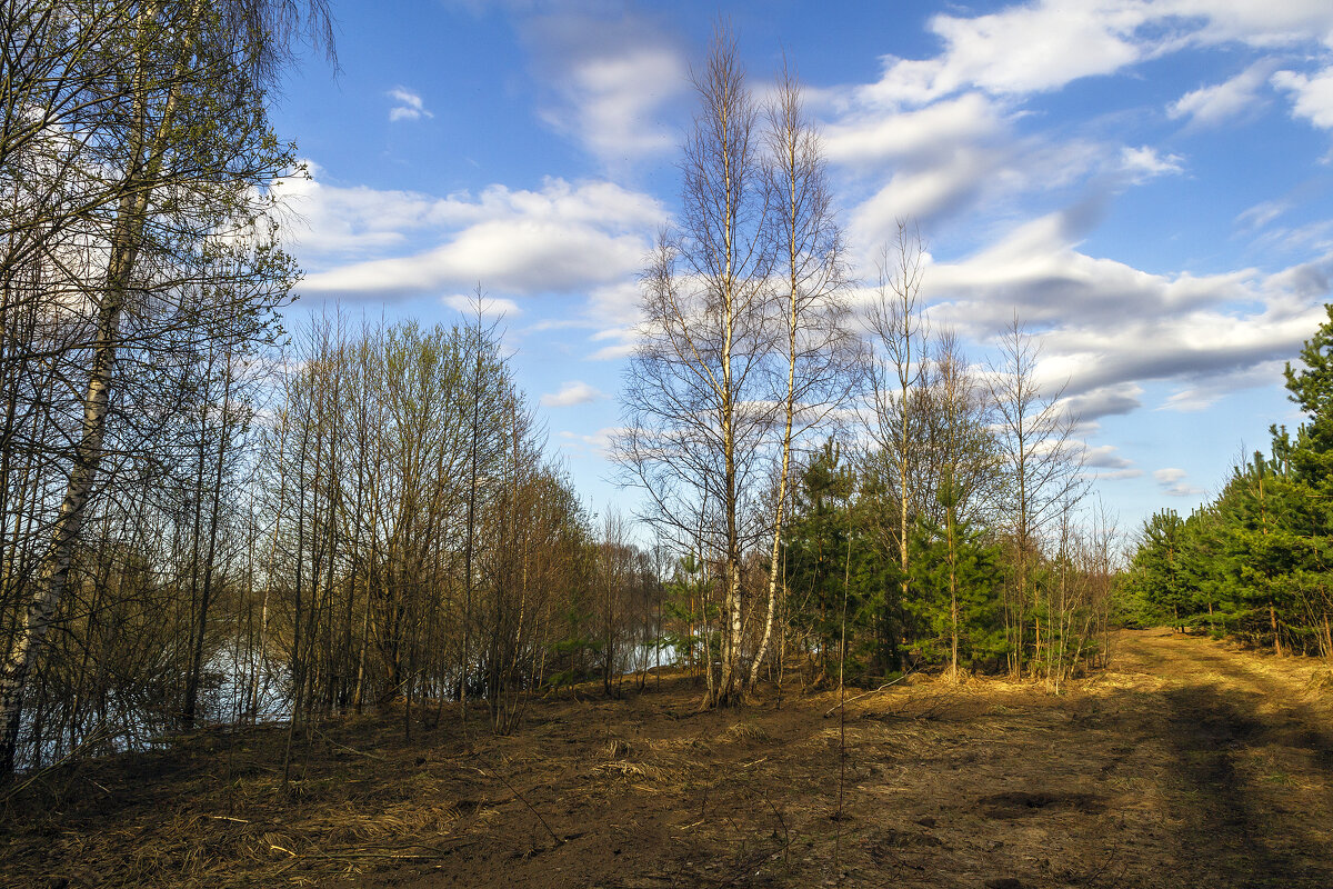 По берегу - Сергей Цветков