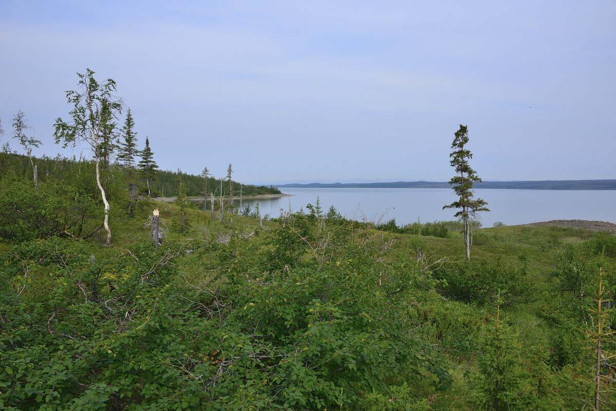 ** - Александр Хаецкий
