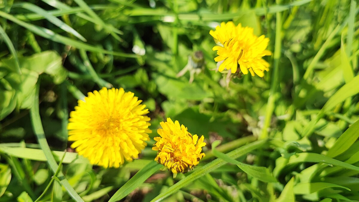 ,,, - Сергей Тимоновский