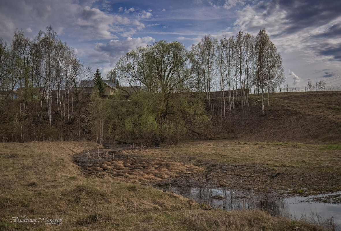 "Зеленая дымка весны у талой воды. Снег выпал и растаял"© - Владимир Макаров