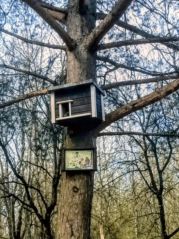 Домик для лесных жителей - Veera V