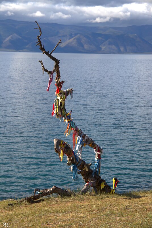 Байкальские зарисовки - Любовь Сахарова