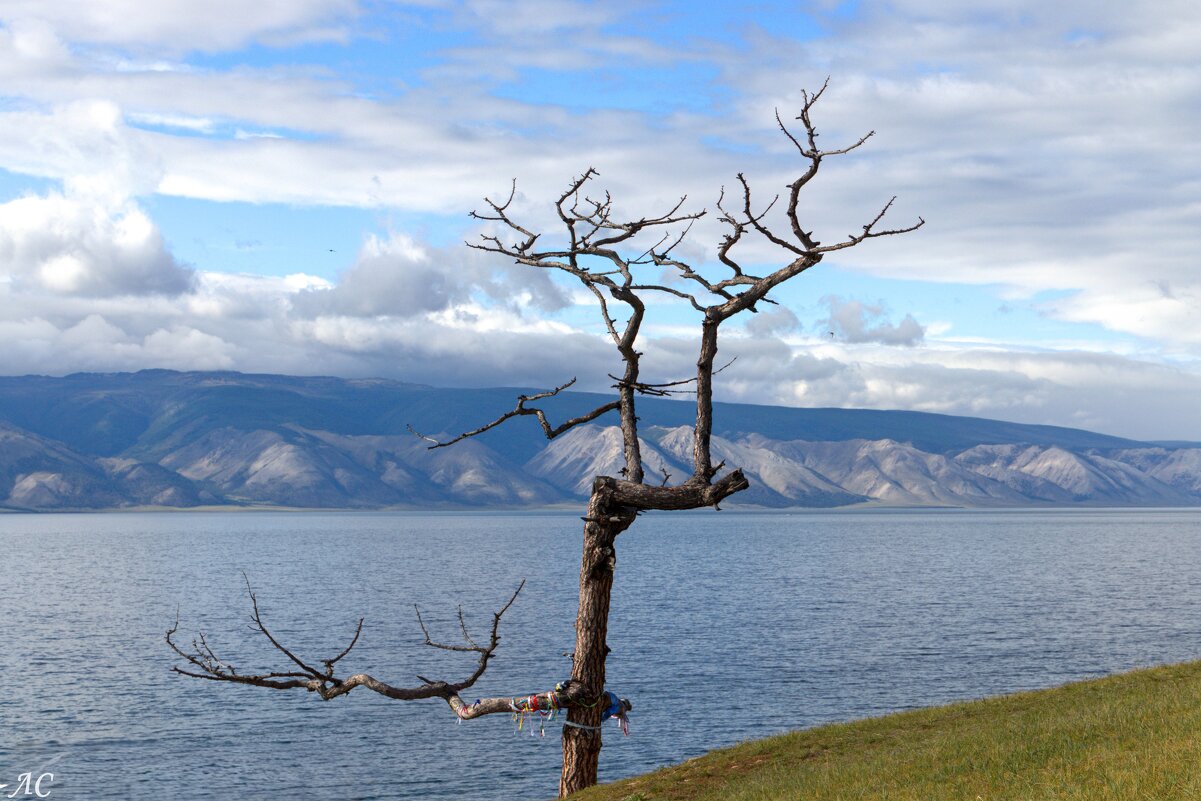 Байкальские зарисовки - Любовь Сахарова