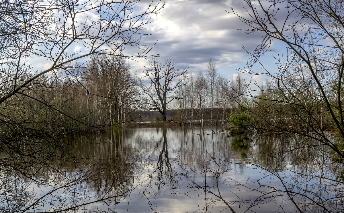 Половодье - Сергей Цветков