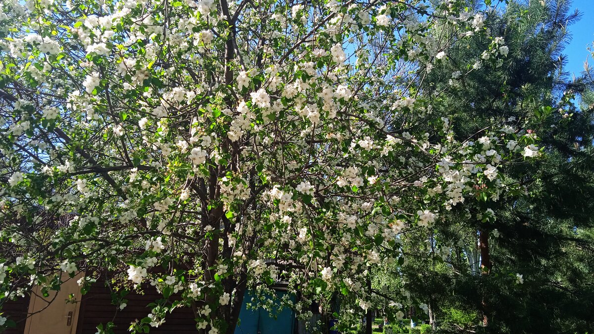 прошлогоднее - Елена Шаламова