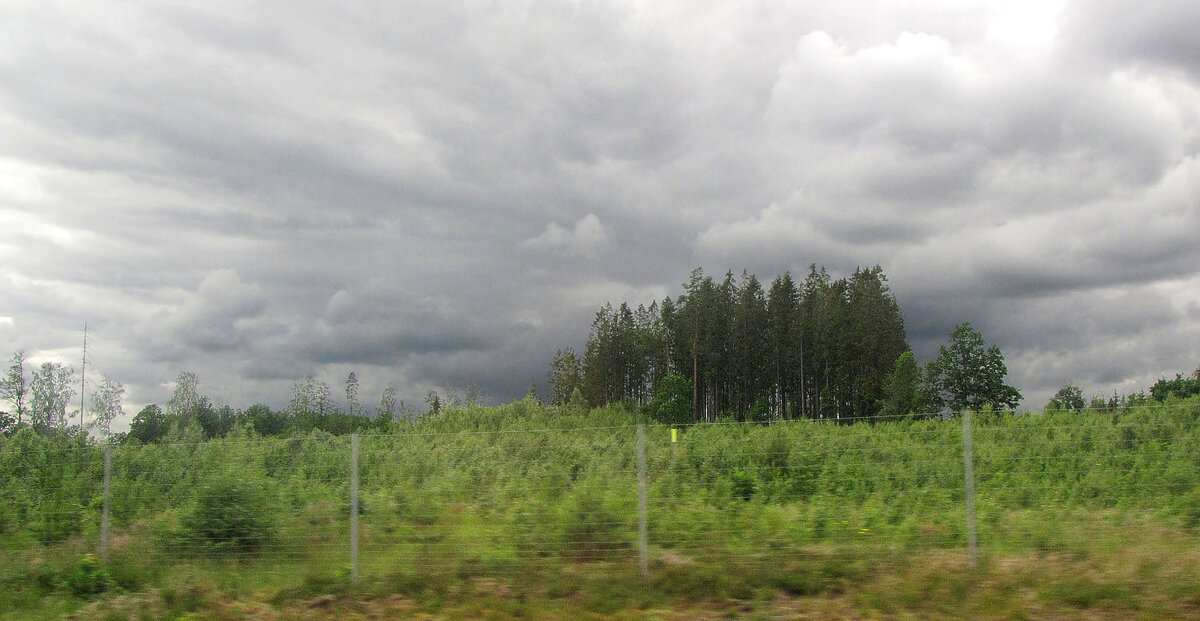 К югу от г. Вернамо (Värnamo) - Александр Ильчевский 