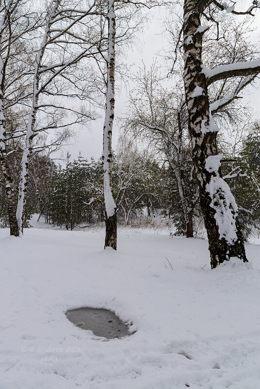 Пейзаж снежного апрель - Александр Синдерёв