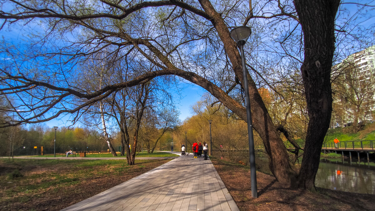 Прогулкив весеннем Парке - юрий поляков