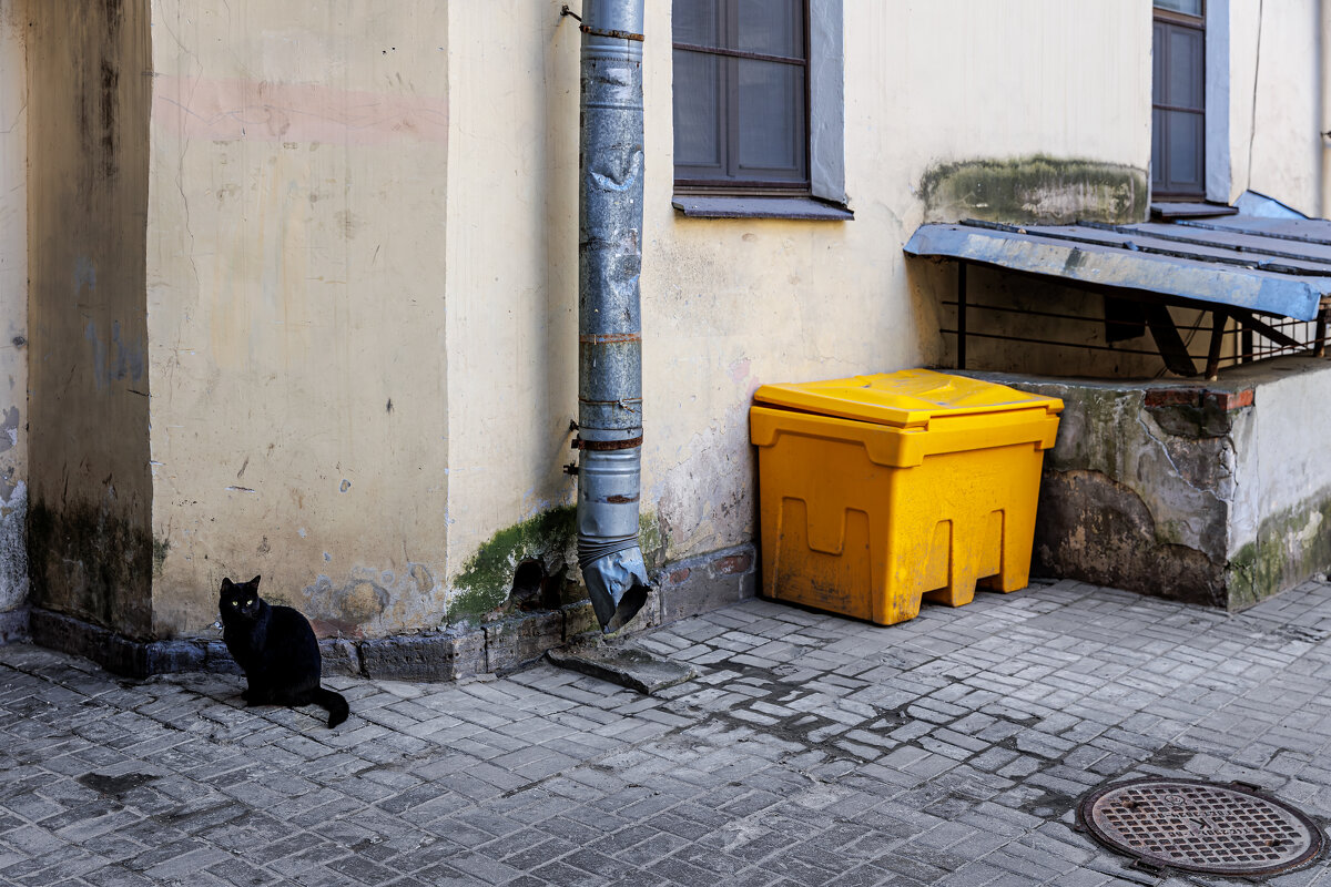 Во дворе на Писарева - Eugene *