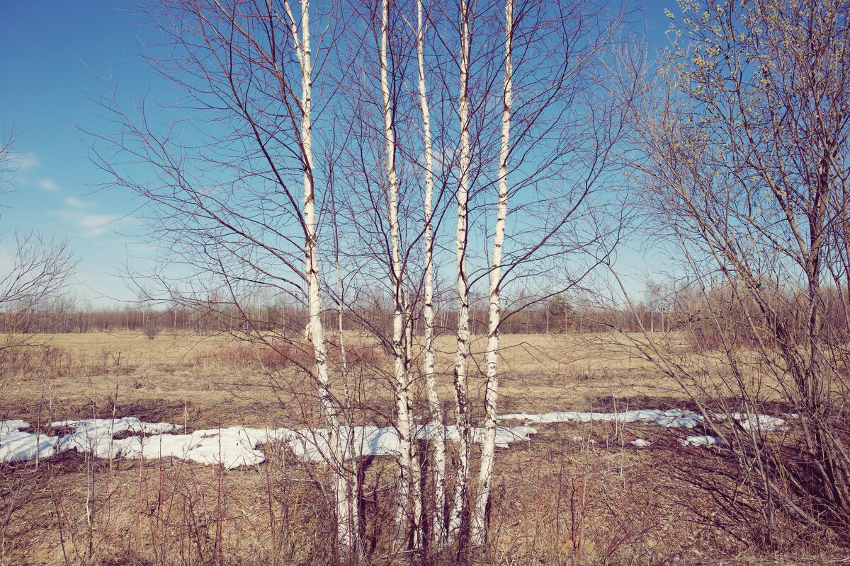 Фотография - Денис Безногов