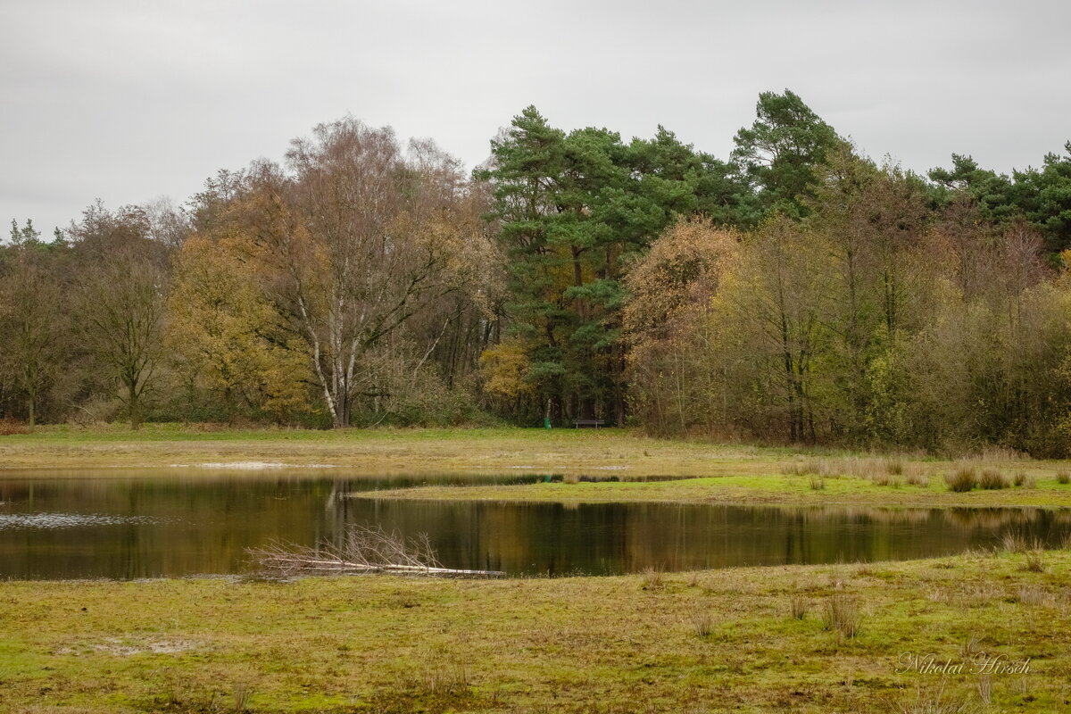 В начале декабря... - Николай Гирш