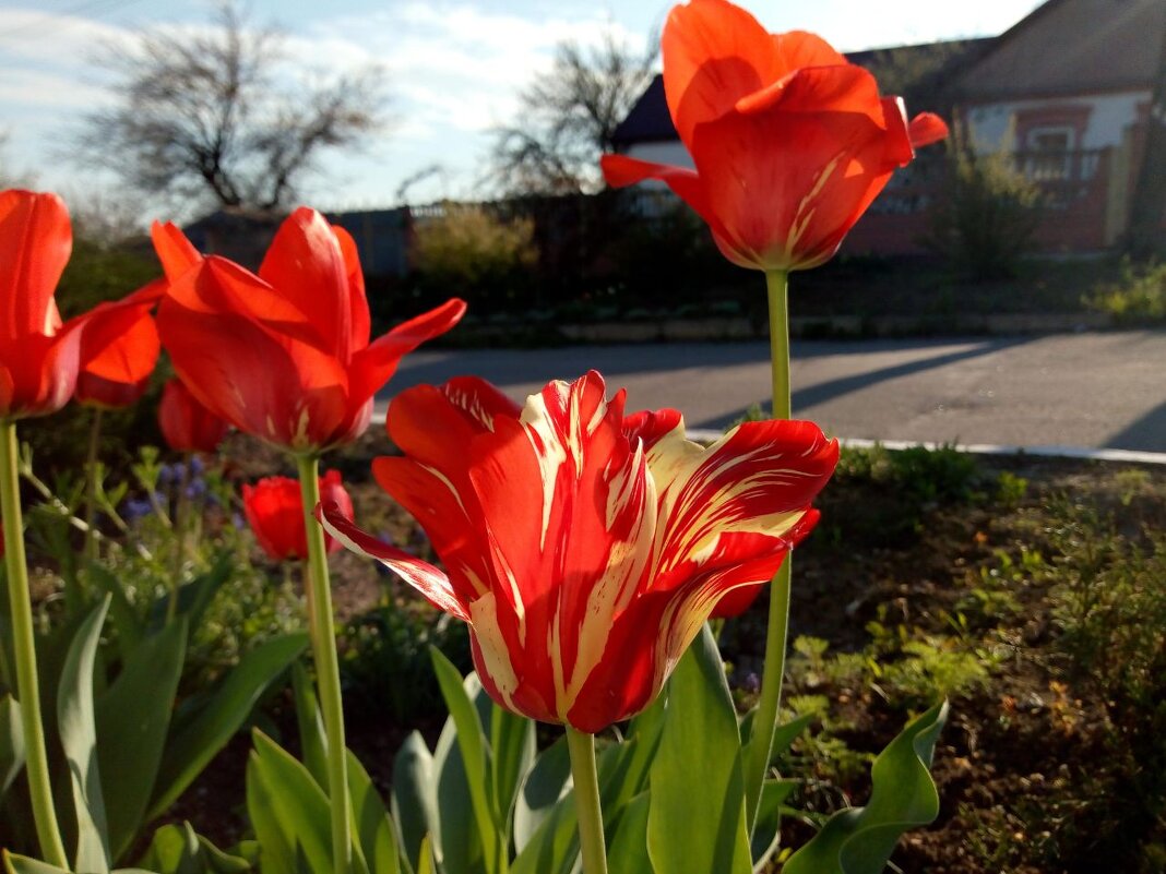 Солнце в бокале - Татьяна Пальчикова
