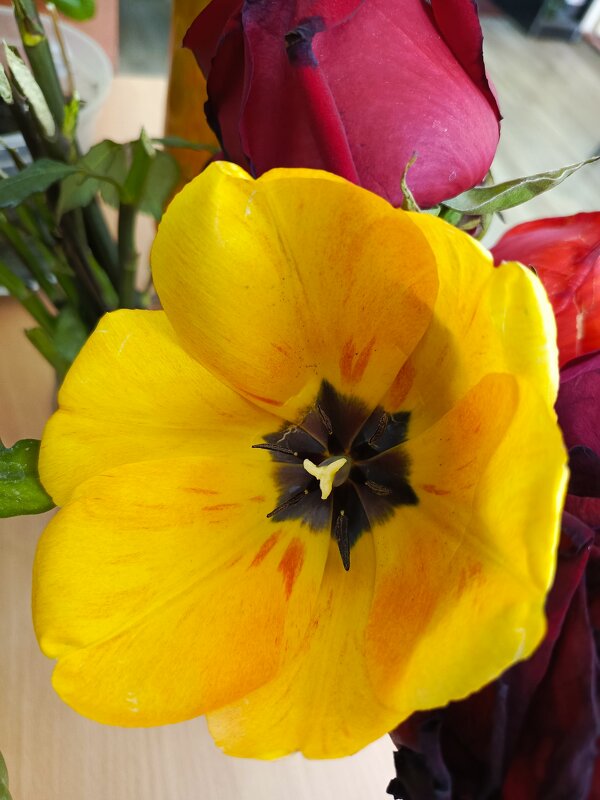 Желтый - Татьяна Пальчикова