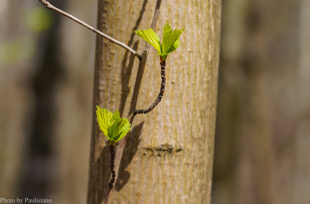 Пробуждение... - Владимир Жданов
