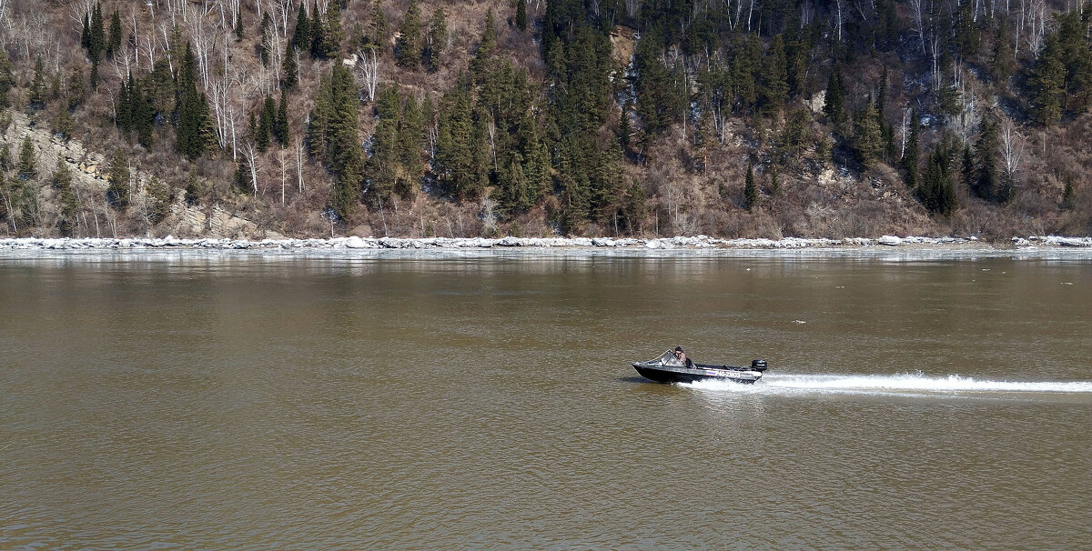 Весна - Радмир Арсеньев