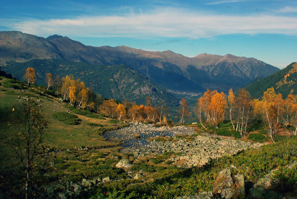 Огоньки ... - Андрей Любимов