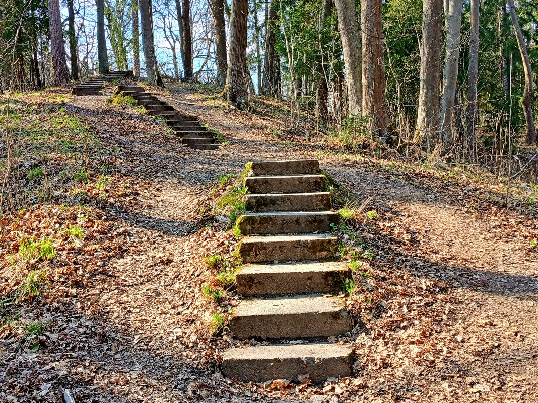 Лесенка-чудесенка. - Лия ☼