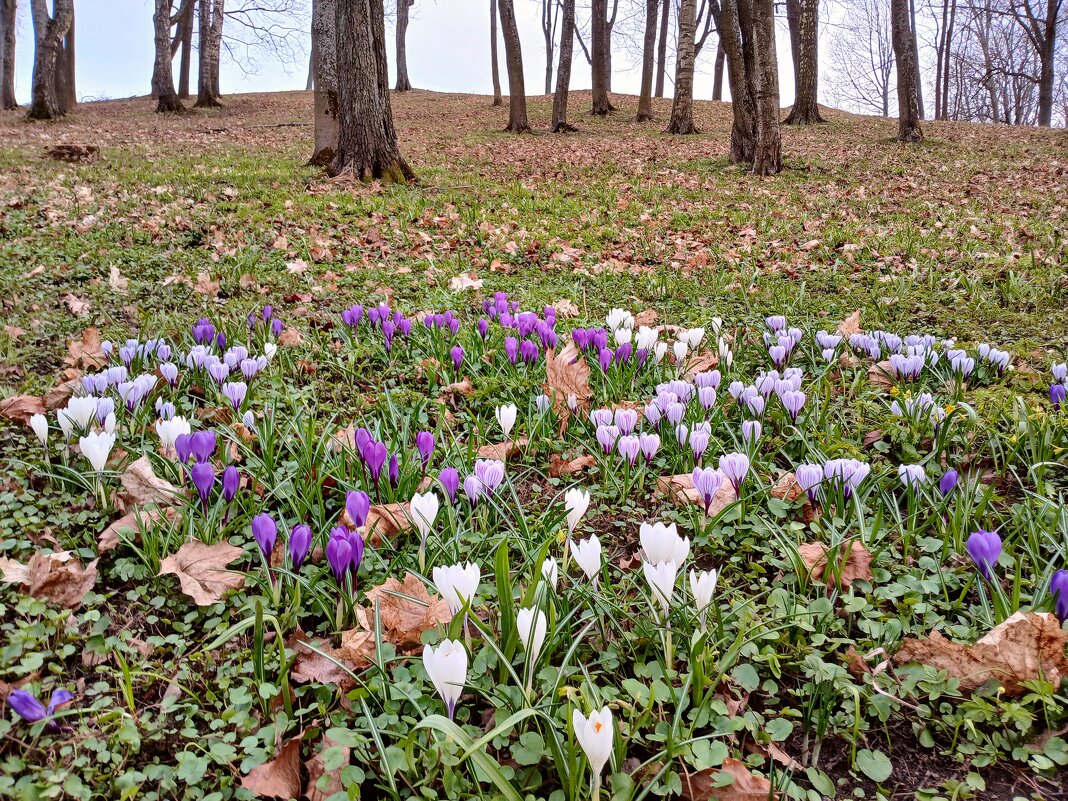 На горке. - Лия ☼