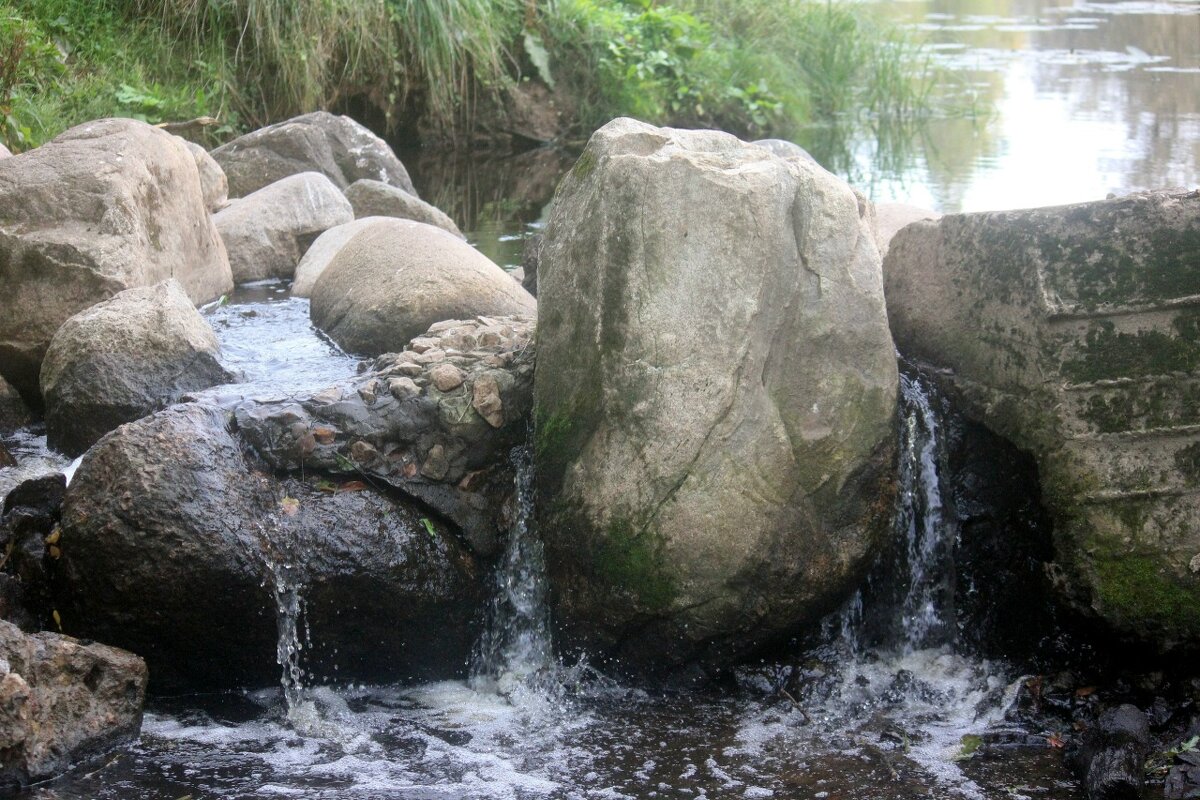 летним днём - Сергей Кочнев