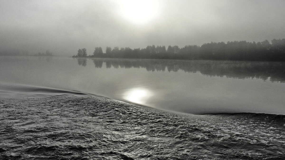 утро туманное - shasha1950 