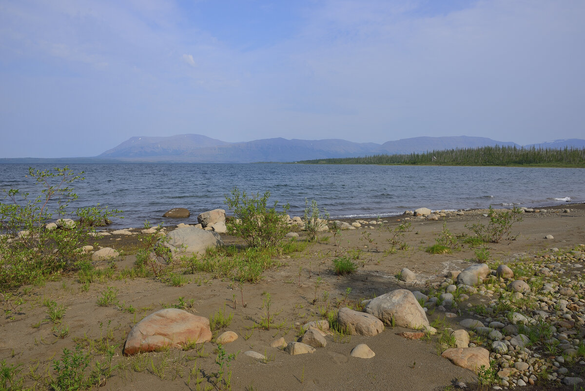 *** - Александр Хаецкий