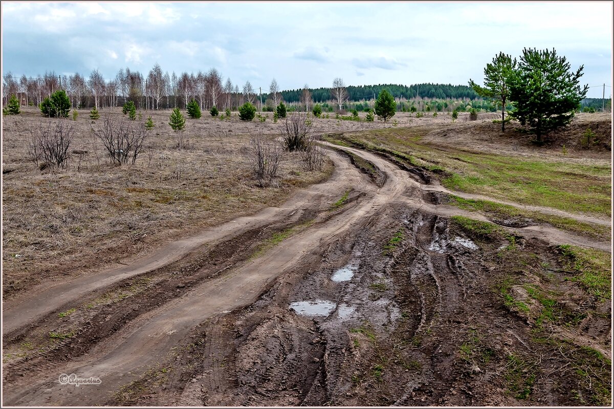 Однажды в апреле... - Aquarius - Сергей