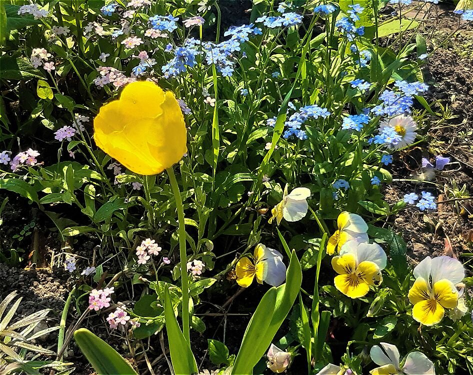 Весенняя акварель! - Нина Андронова