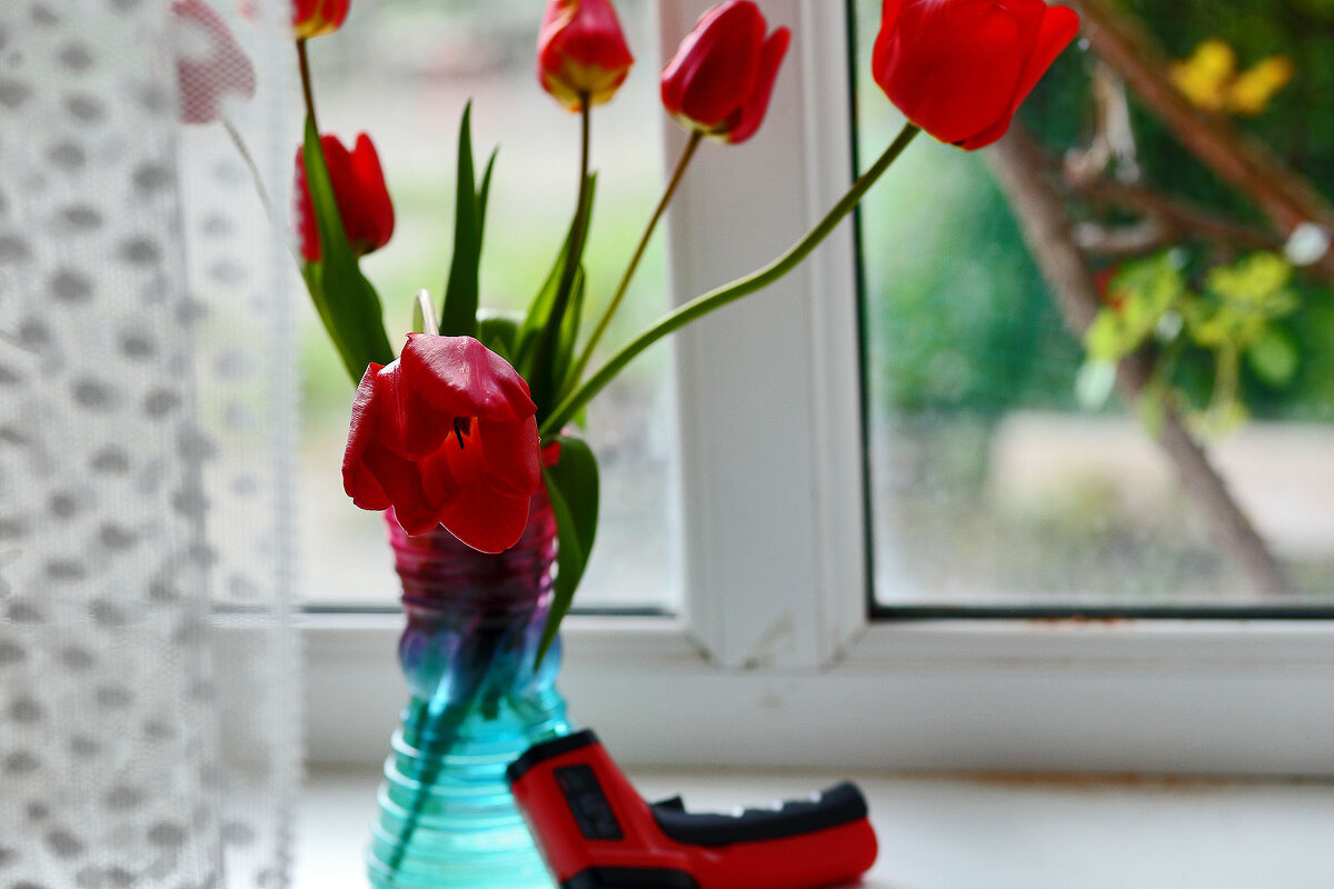 В оттенках красного - Юрий Гайворонскiий