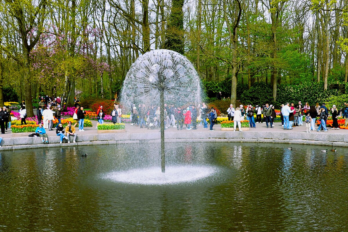 Королевство цветов(серия) - Владимир Манкер
