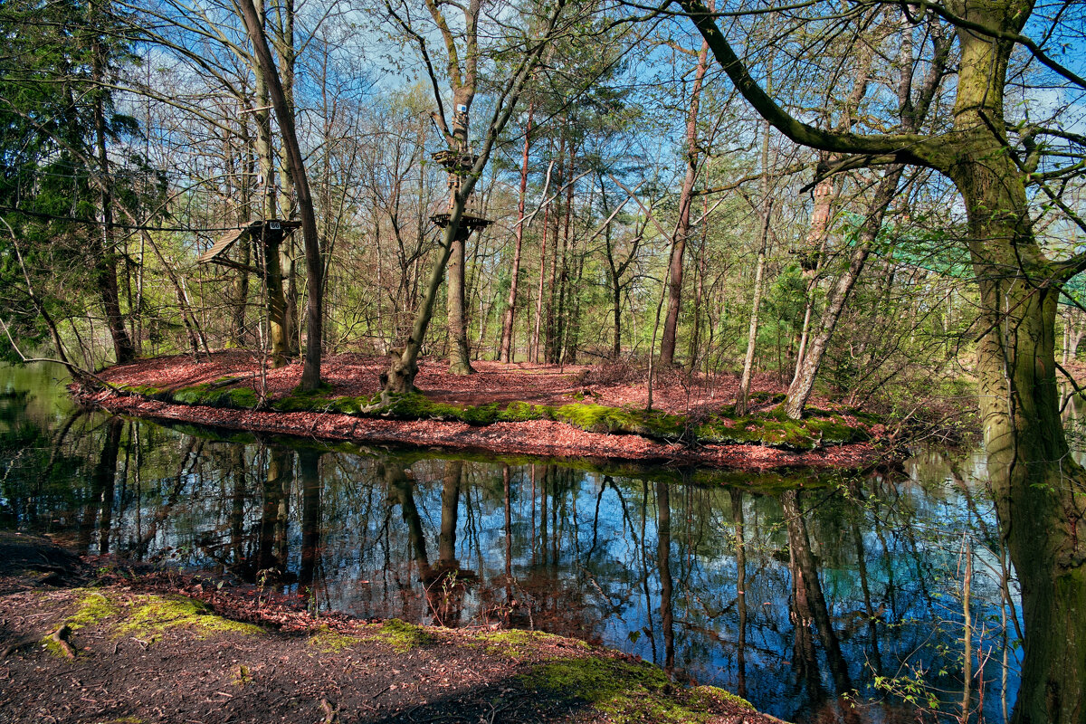 Пруд - Jakob Dick