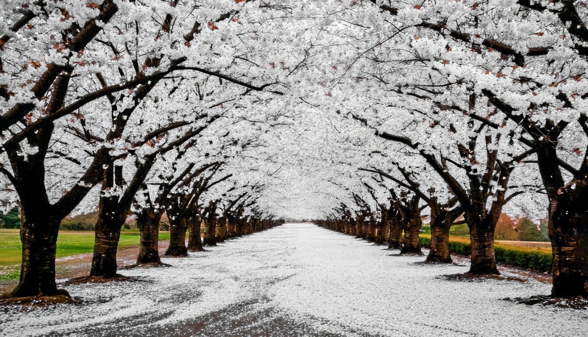 Пробуждение природы ... - Ravile 