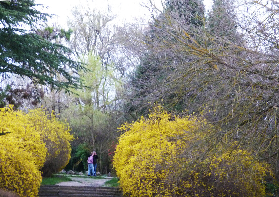 Весна в парке ТНУ - Валентин Семчишин
