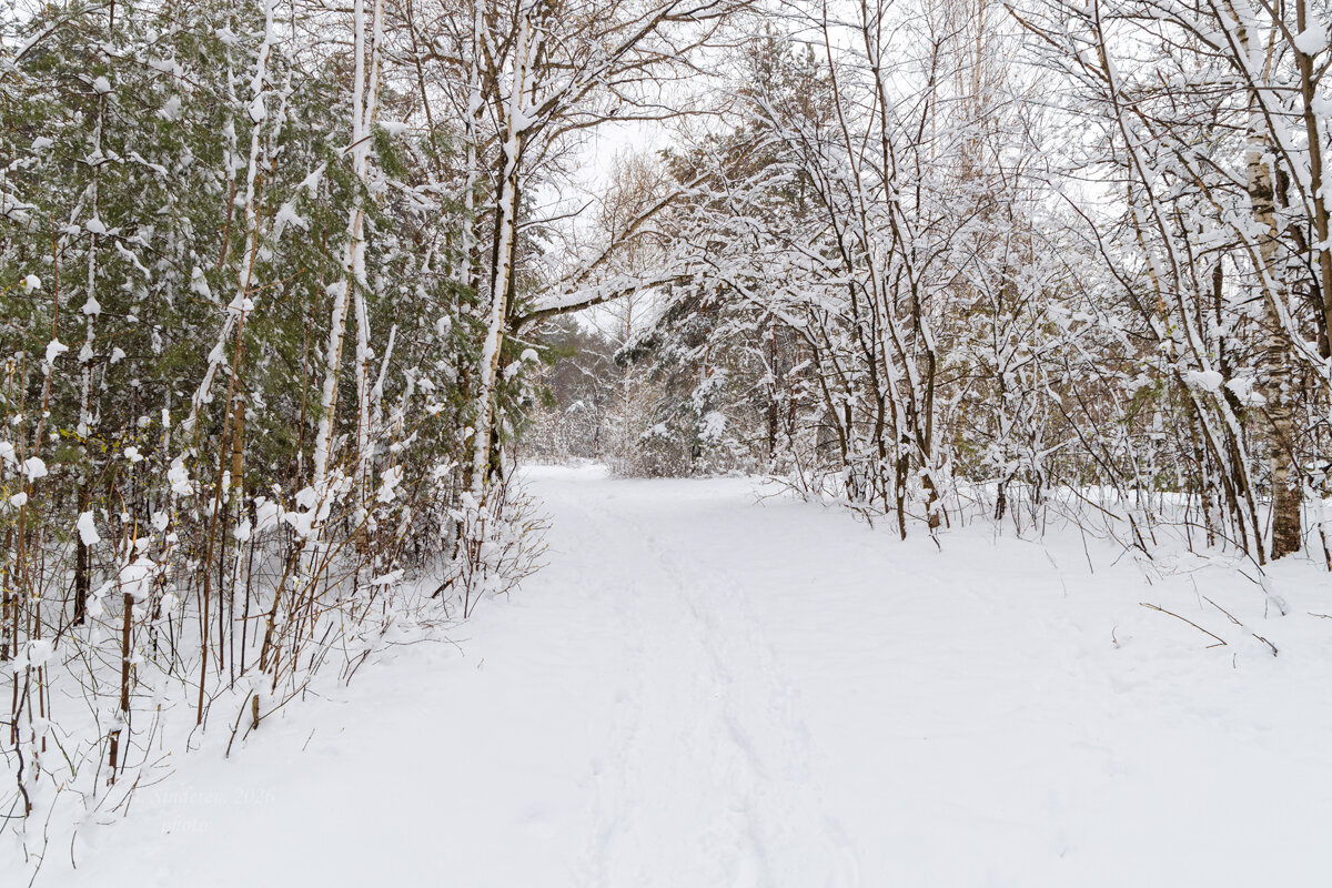 Снежный весенний пейзаж - Александр Синдерёв